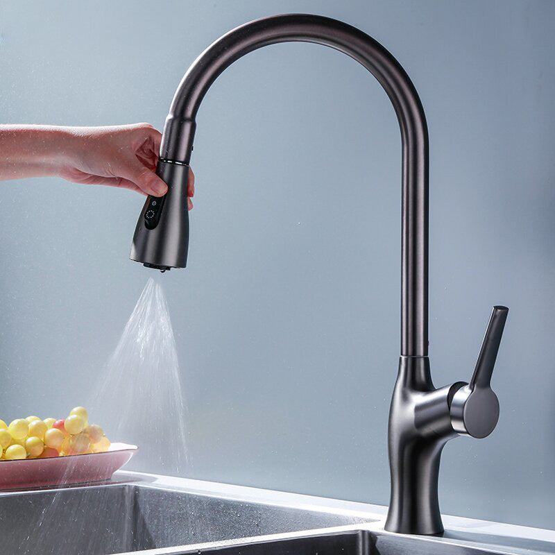 Tesrin F001 Classic Sink Pull-Out Faucet