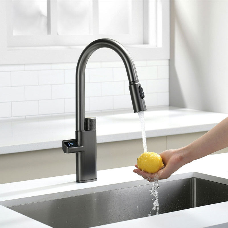 Tesrin F202 Water-saving and Pull-out Kitchen Faucet