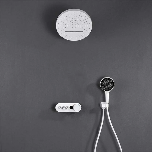 Tesrin Multi-functional Recessed Shower Set