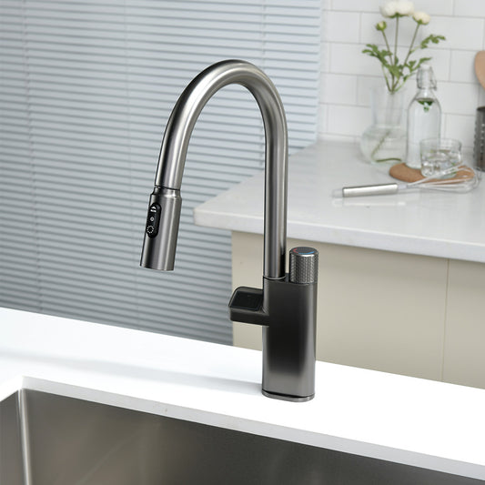 Tesrin F202 Water-saving and Pull-out Kitchen Faucet