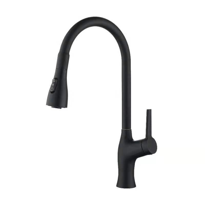 Tesrin F001 Classic Sink Pull-Out Faucet