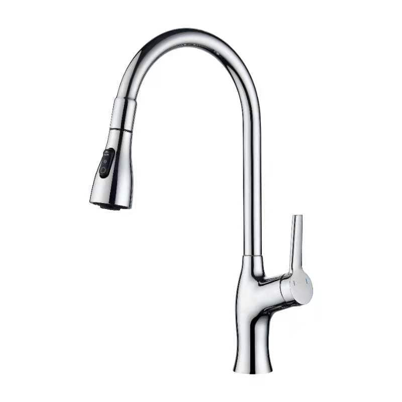 Tesrin F001 Classic Sink Pull-Out Faucet