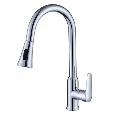 Tesrin F001 Classic Sink Pull-Out Faucet