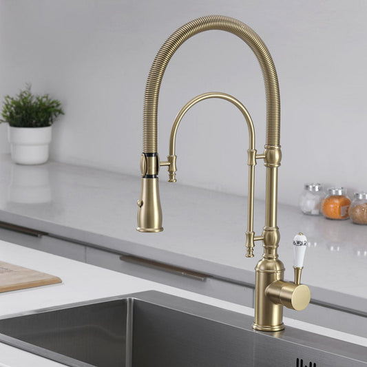 Tesrin F002 Antique Solid Brass Kitchen Faucet