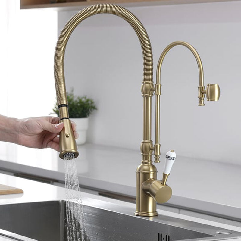 Tesrin F002 Antique Solid Brass Kitchen Faucet