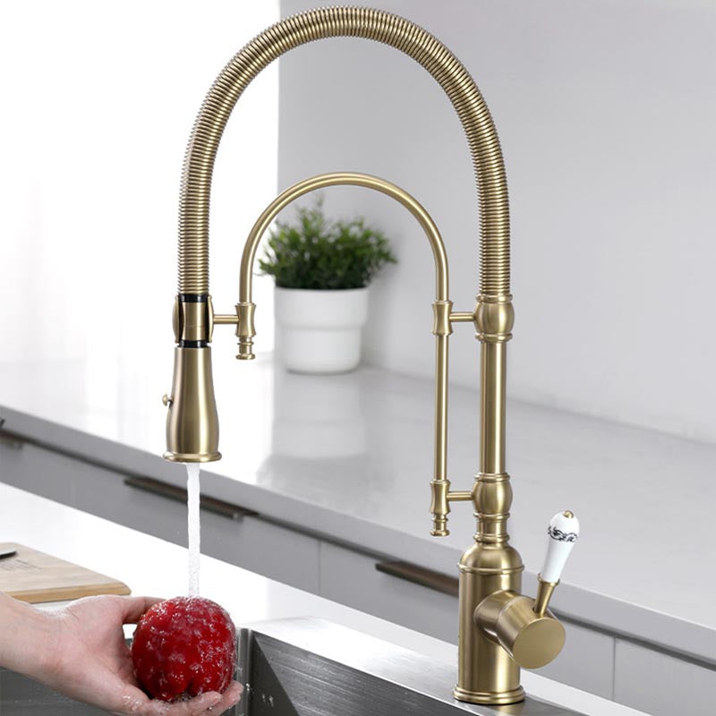 Tesrin F002 Antique Solid Brass Kitchen Faucet