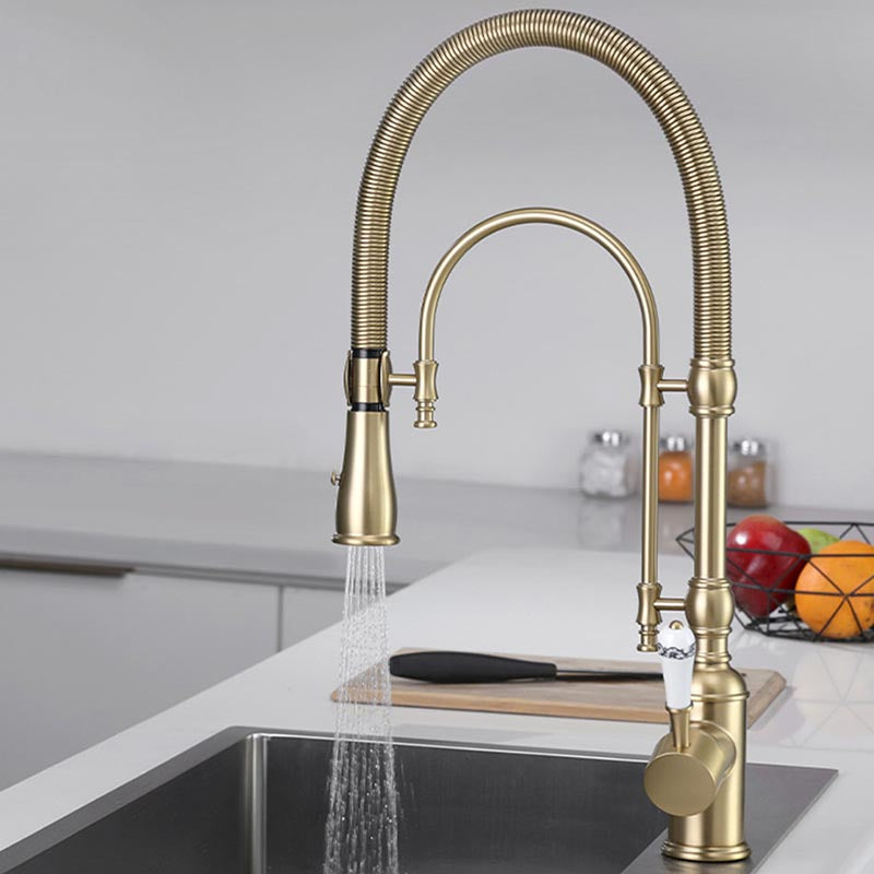 Tesrin F002 Antique Solid Brass Kitchen Faucet