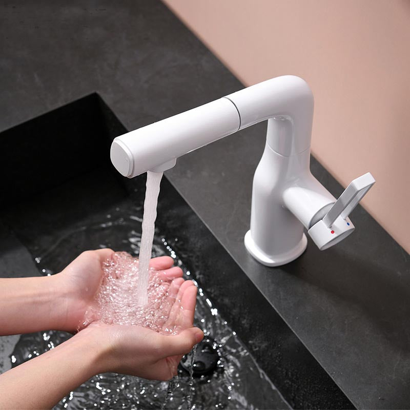 Tesrin MF007 Basin Faucet with Classic Design